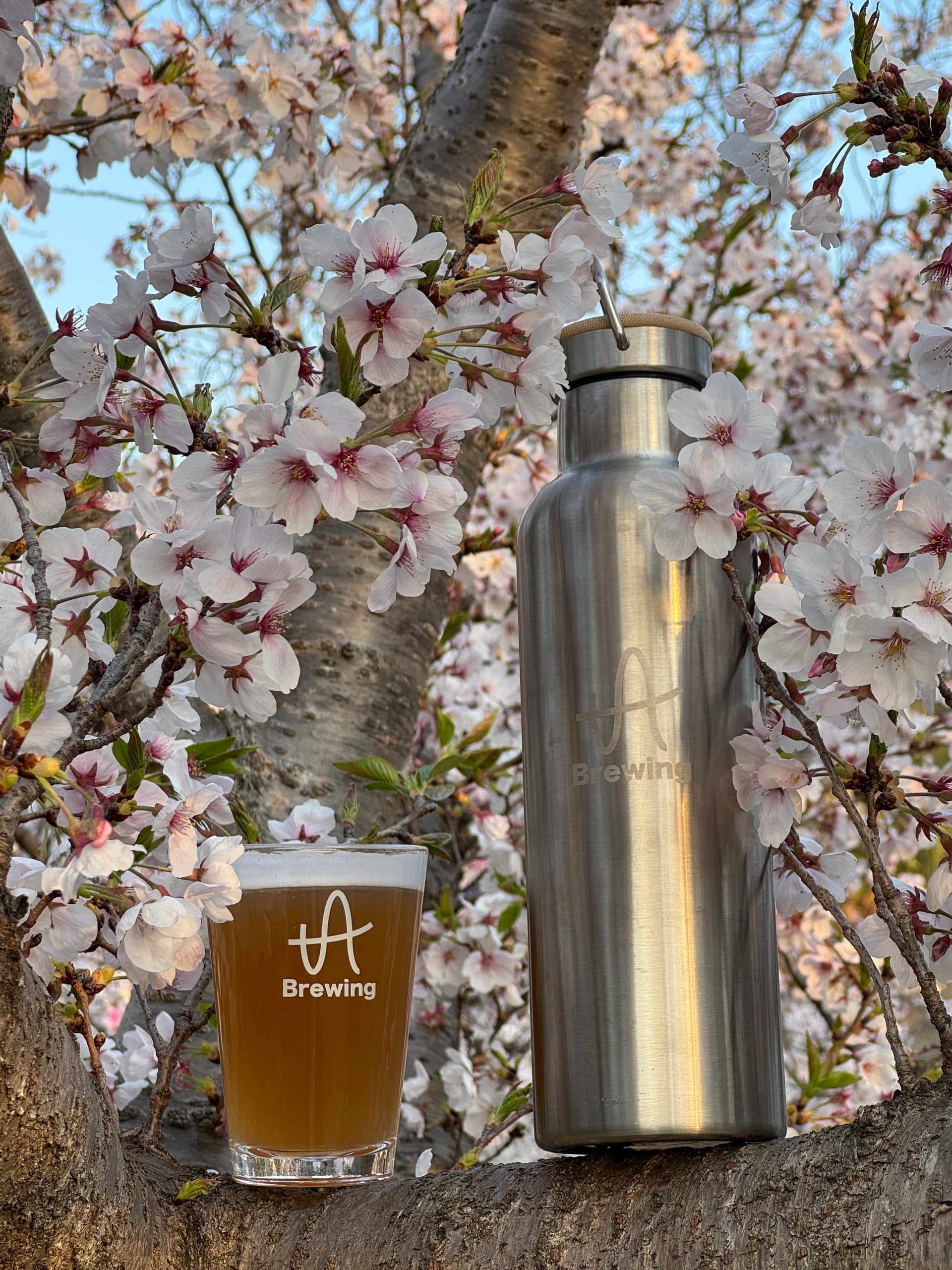 オリジナルグラウラー – tA Brewing（tA ブリューイング）